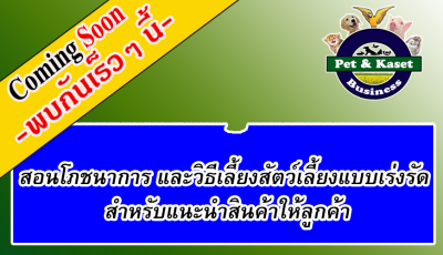 สอนโภชนาการและวิธีเลี้ยงสัตว์เลี้ยงแบบเร่งรัด