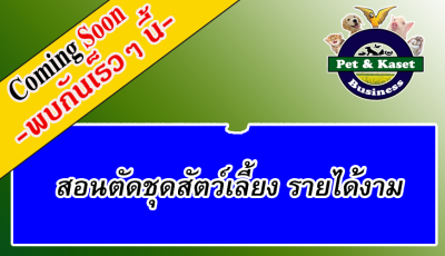 สอนตัดชุดสัตว์เลี้ยง