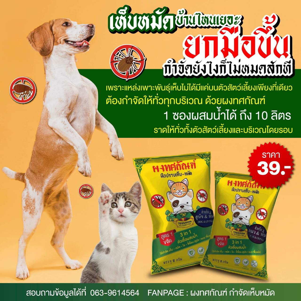 Tossakan