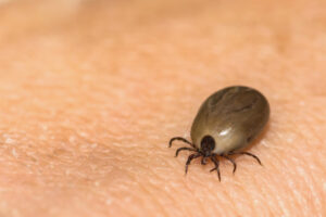 1698-b9e0abb9e09a-rs 1698-b9e0abb9e09a-rs